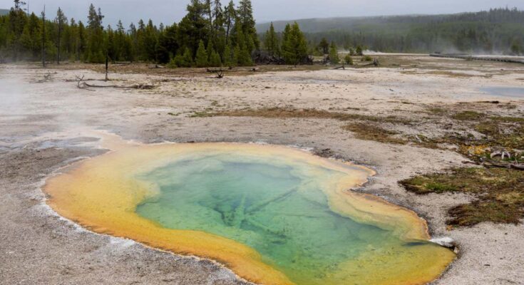 Una sustancia química fundamental para la vida se formó en las condiciones encontradas en la Tierra primitiva