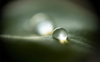 SciTechDaily