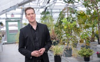 El uso y la importancia de los herbarios crecen con el cambio climático - Harvard Gazette