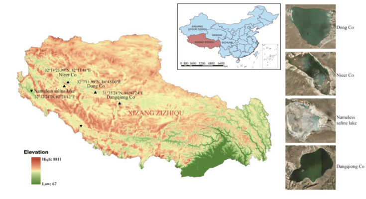 Una investigación ha descubierto que los lagos tibetanos contienen bacterias que producen antibióticos