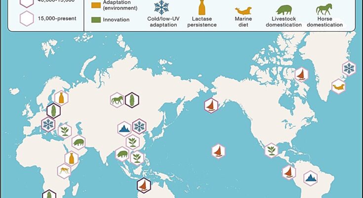 Convertirse en humano: una perspectiva del genoma antiguo