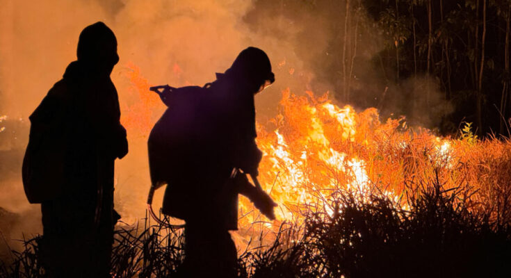 Febrero marca el noveno mes de calor global récord: Climate Monitor