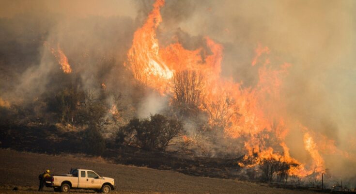 Los datos satelitales muestran cómo la sequía puede alterar la recuperación de los incendios forestales en Occidente