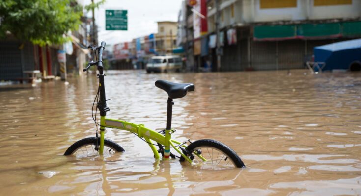 El equilibrio entre mitigación y adaptación al clima: represas, arena y sustitutos