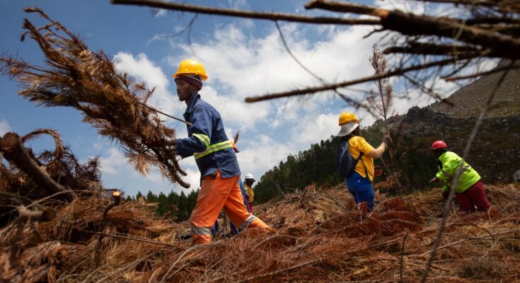 Opinión |  Ciudad del Cabo demuestra que el planeta está harto del cambio climático