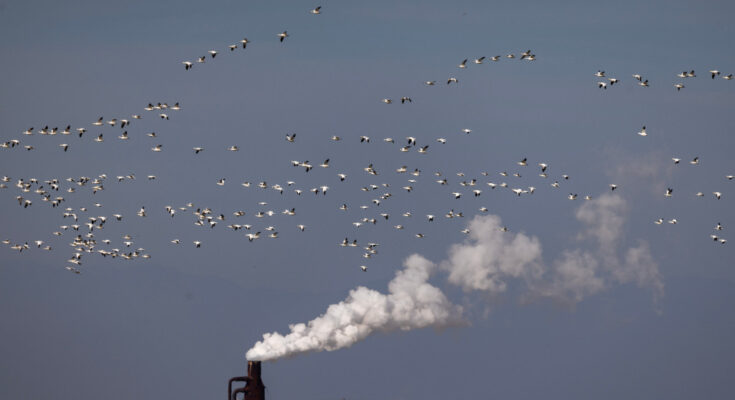 Under the Climate: Los riesgos para la seguridad nacional derivados del cambio climático pueden ir más allá de lo que piensa el gobierno de EE. UU.