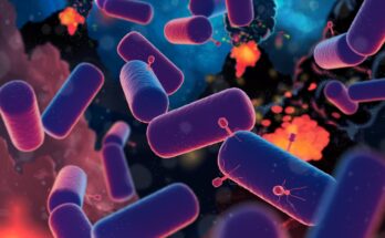 Información sobre uno de los primeros ancestros de la vida revelada en un nuevo estudio
