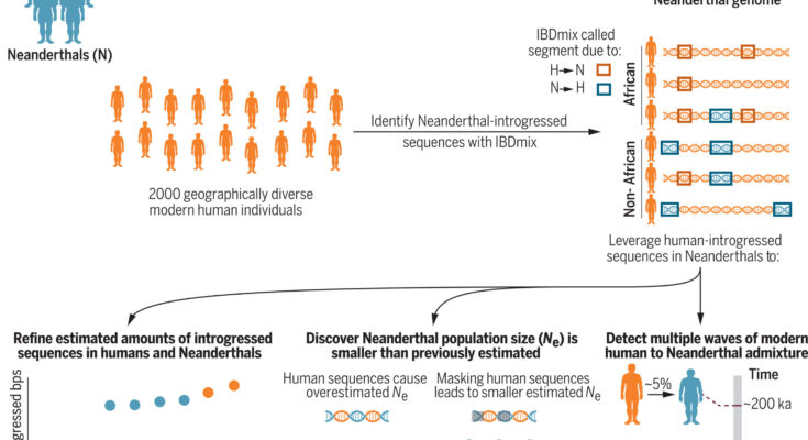Los genetistas están reescribiendo la narrativa de los neandertales y otros humanos antiguos