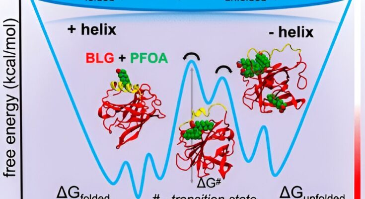 Se ha demostrado que los nanoplásticos y los 'productos químicos eternos' alteran las estructuras y la funcionalidad molecular