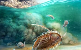 SciTechDaily
