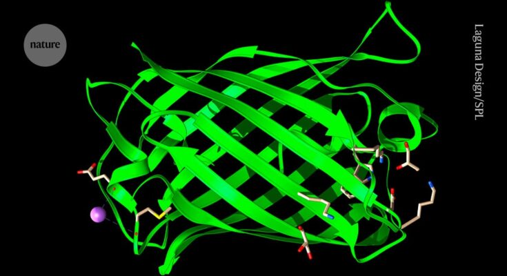 Ex-metacientíficos lanzaron un gigantesco modelo de diseño de proteínas con IA