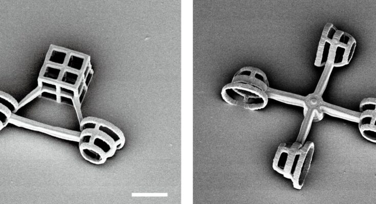 Microvehículos propulsados ​​por algas verdes nadadoras podrían ayudar a la investigación biológica y ecológica