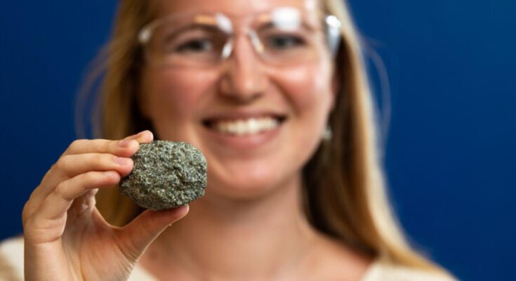 Los investigadores midieron la mineralización de carbono a una escala sin precedentes