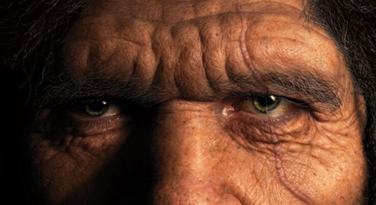 Los neandertales "realmente no se extinguieron"