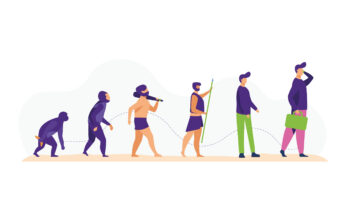 Human evolution