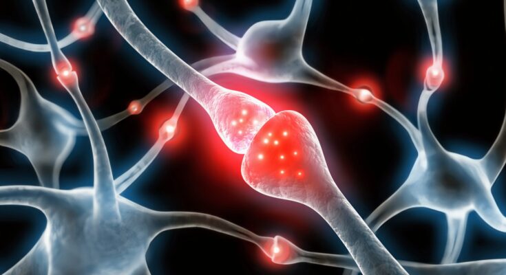 Promoción de la mente: un nuevo mapa dice dónde el cerebro obtiene su energía