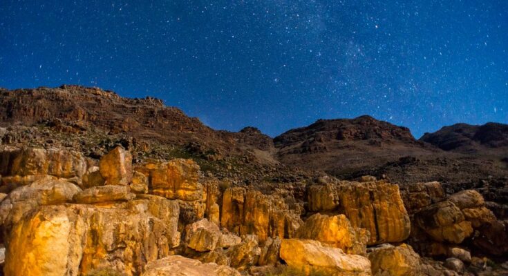 Los músculos y el coraje del animal prehistórico descubrieron que "la ginebra se conserva en el detalle inimaginable" en las montañas de Sudáfrica