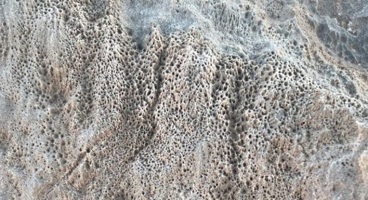 Los agujeros en las rocas del desierto pueden quedarse de microorganismos.