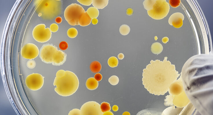 El metabolismo de oxígeno surgió en la tierra antes de un gran evento de oxidación, revela el estudio: Signsalt