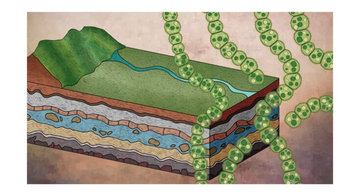 El análisis de reloj molecular muestra que las bacterias han usado hace mucho tiempo oxígeno para la fotosíntesis generalizada