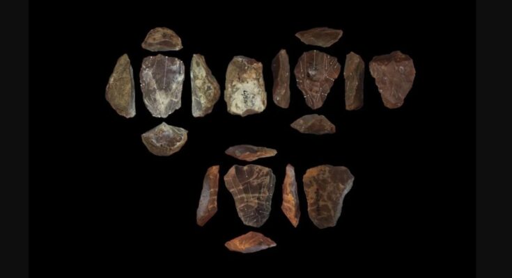 Neanderthals