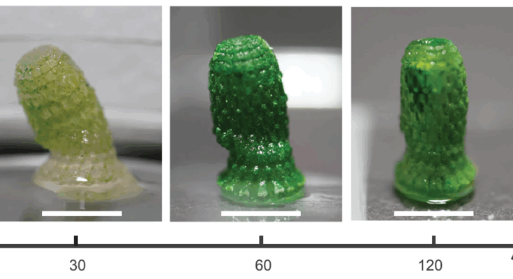 Continuous culture over 400 days. Photo via ETH Zurich.