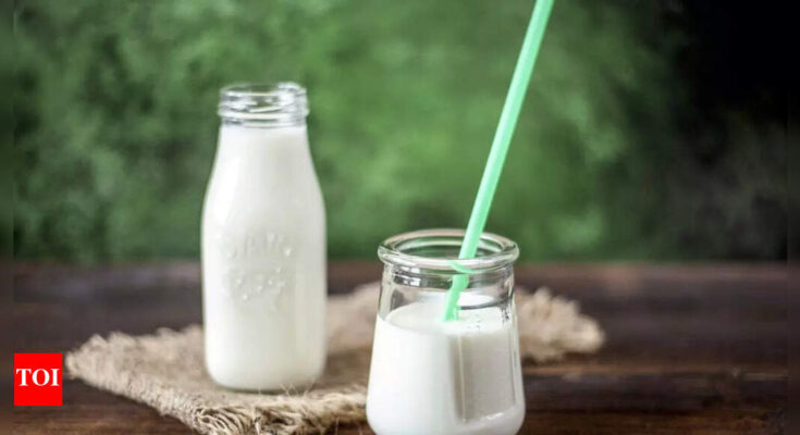 ¿La leche es realmente buena para nuestros huesos? Su compleja ciencia detrás de su pasado