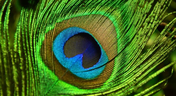 When researchers saw new color olo in April, they described it as a highly saturated green, a deep teal or a peacock-green, among other terms