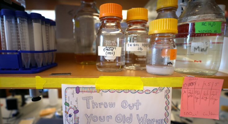 Laboratory where genetics research on worms is conducted using chemicals at UMass Memorial Medical Center in Worcester.