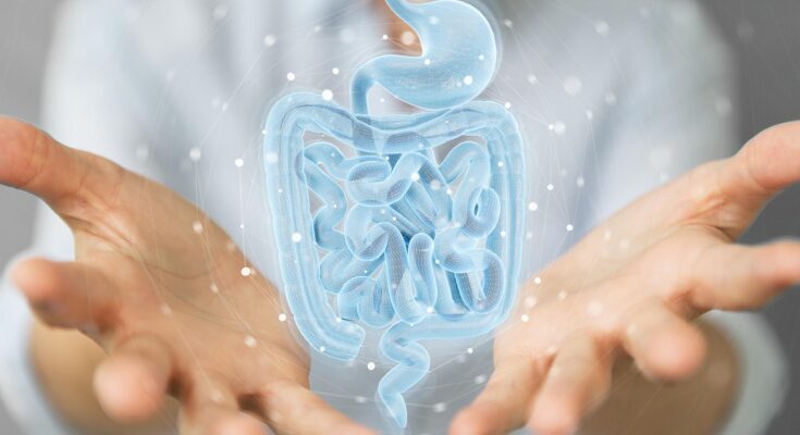 Doctor Holographic Human Gut