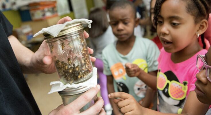 Hacer tiempo para la ciencia en el jardín de infantes puede obtener una gran recompensa