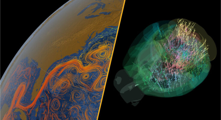 The AMOC current and a mouse brain.