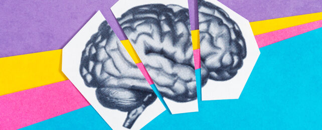 Cerebro