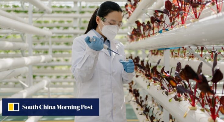China maneja 2 problemas simultáneamente con el subsidio de nacimiento para las mujeres en la ciencia