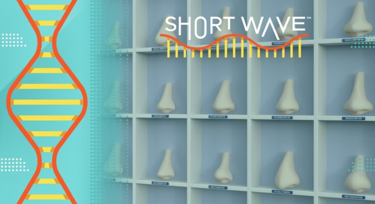 La historia científica previa de los trabajos nasales puede sorprenderte: Small Wave: NPR