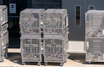 Las jaulas de animales vacías en el OHSU Oregon National Prime Research Center en Beaverton, el 17 de abril de 2025. 