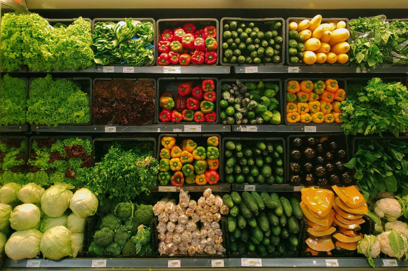 Selección de verduras para la venta. Comer muchas verduras frescas puede agregar años a su vida