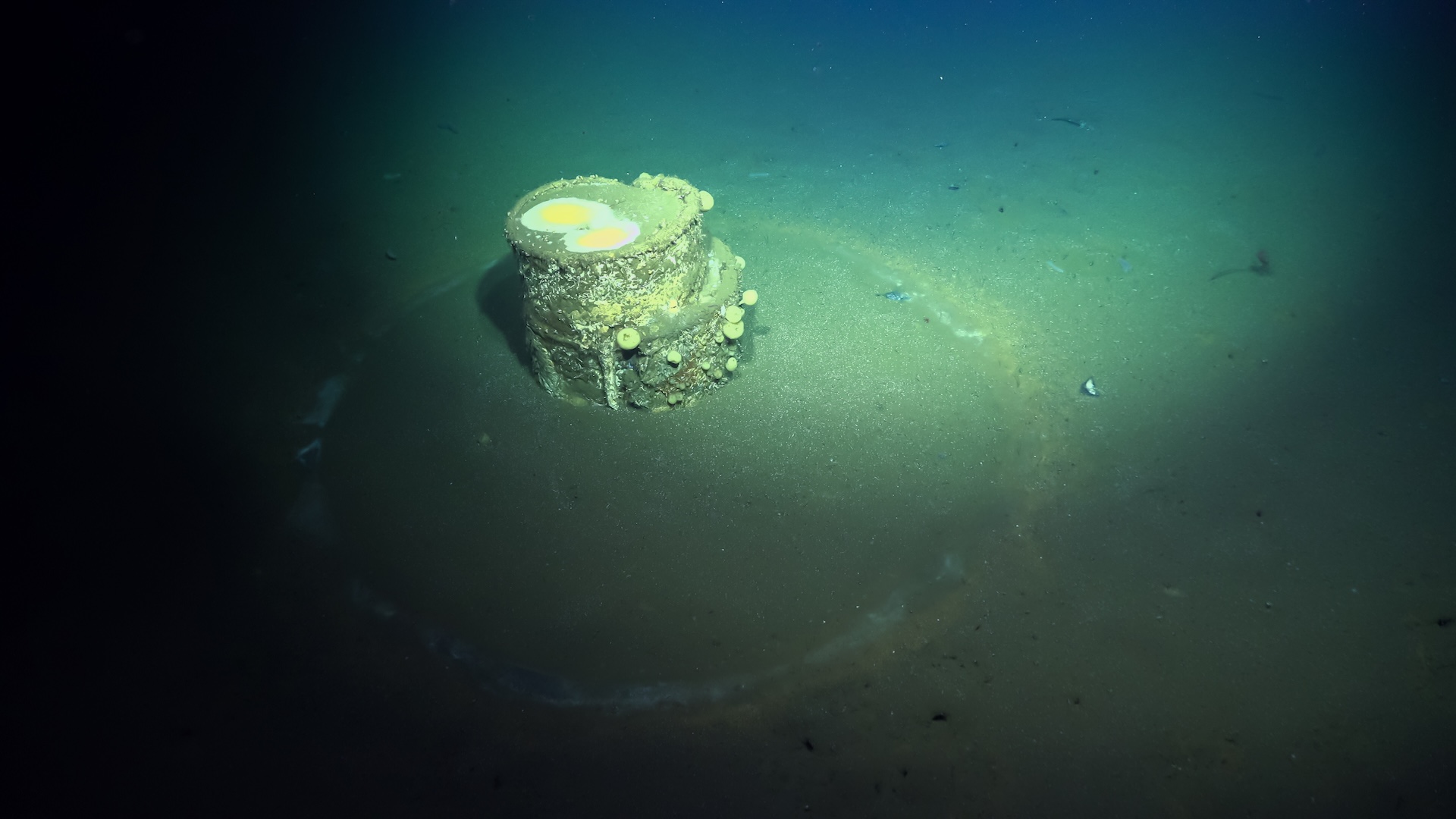 Una foto de un barril bajo el agua en la base del mar