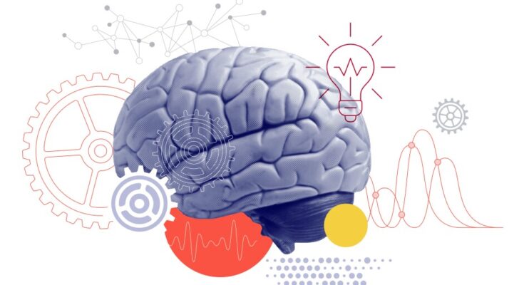 Los 5 mejores mitos, los maestros de primaria creen en el aprendizaje de la ciencia