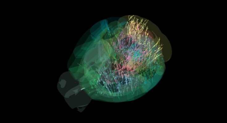 Los científicos producen un mapa en el primer cerebro para tomar una decisión a nivel celular