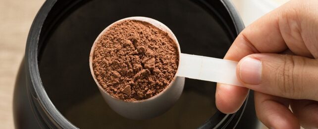 Polvo de proteína