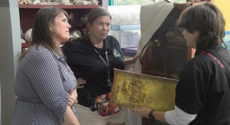 Mandee Mikulsky Science Center es un gran sueño para el futuro | Negocio