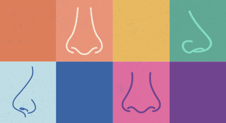 Probación de olor para la ciencia - Harvard Gazette