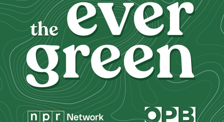 'The Evergreen': Ohsu está bajo escrutinio de científicos y activistas que se oponen a la investigación de los animales del centro de investigación premate