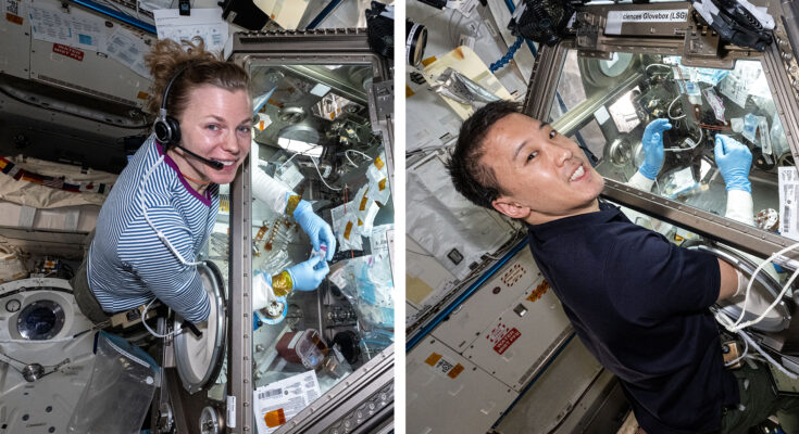 NASA astronauts Zena Cardman and Jonny Kim are pictured working in the Kibo laboratory module's Life Science Glovebox processing bone stem cell samples to understand space-caused bone loss.