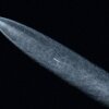 Un cohete SpaceX Falcon 9 que transporta una carga útil de 20 satélites Starlink se ve en el cielo nocturno sobre Lawndale, California, después del lanzamiento desde la Base de la Fuerza Espacial Vandenberg el 18 de junio de 2024.