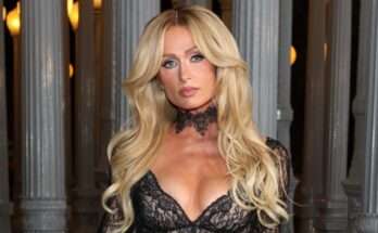 Paris Hilton se autodenomina 'hecha a sí misma' y los que odian no pueden soportarlo