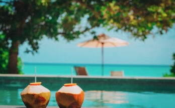ALG Vacations lanza la oferta de acceso anticipado del Black Friday con grandes ahorros