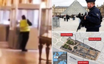 El Louvre arresta a cuatro sospechosos en relación con el robo de joyas por valor de 102 millones de dólares