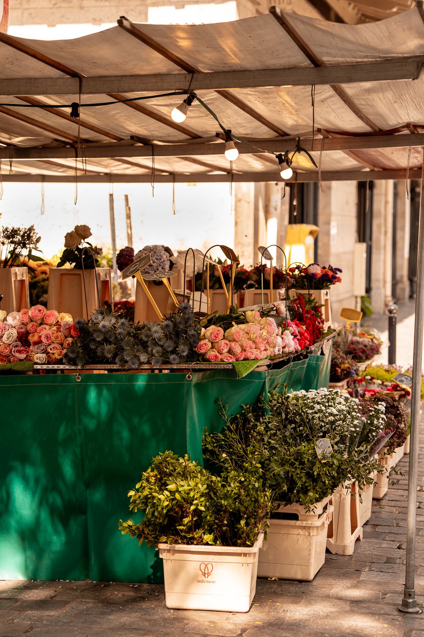 La imagen puede contener contenido: flor arreglo floral planta ramo de flores y mercado